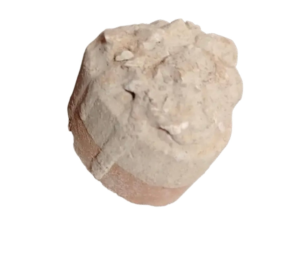 Galleta de Barro Glaseado