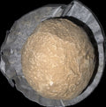 Ferrero
