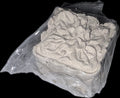 Galleta Chalma