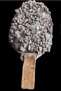 Dark pop ( creaciones terrenales )