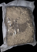 Barrita Choylin ( creación de barrolga)