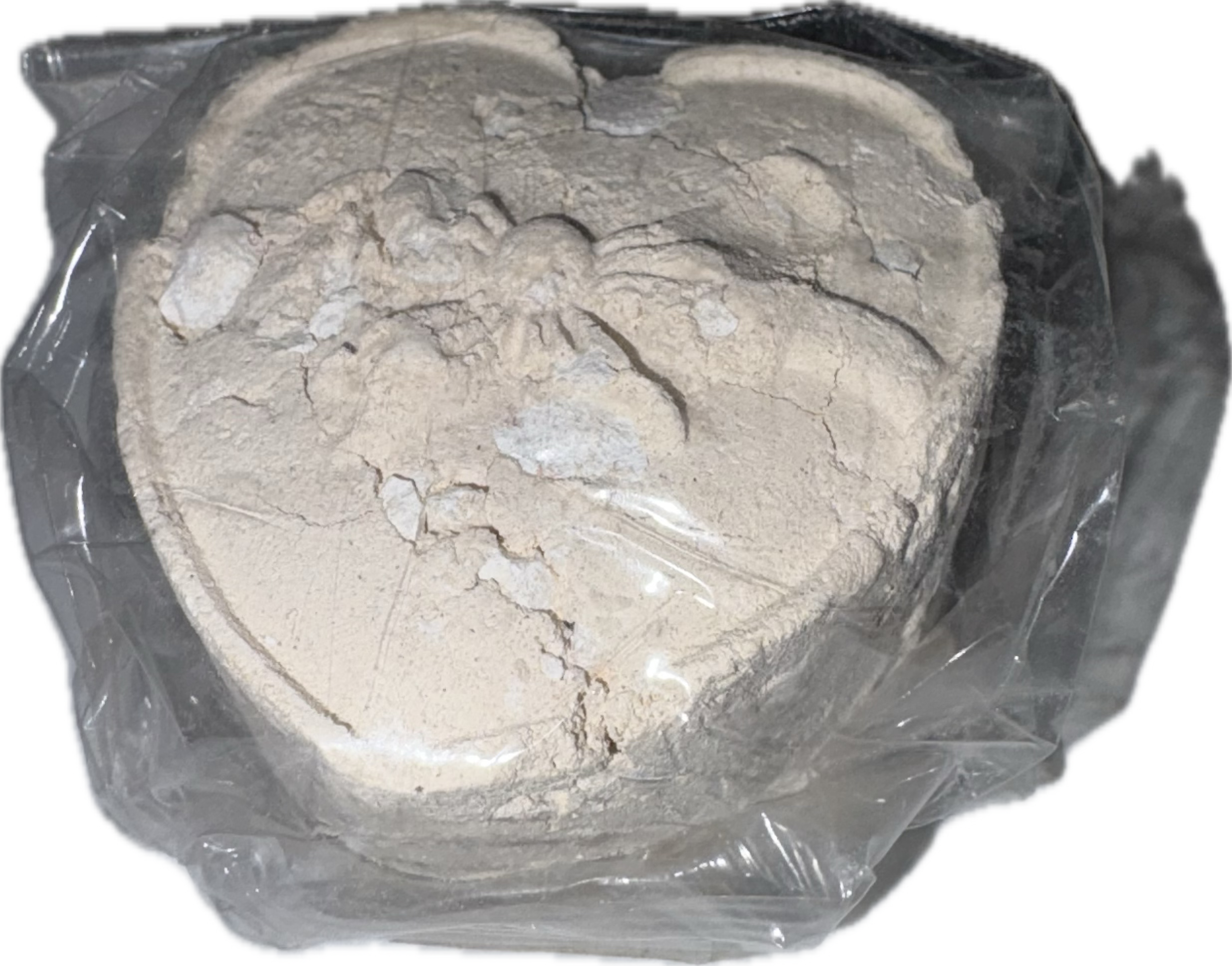 Tornasol